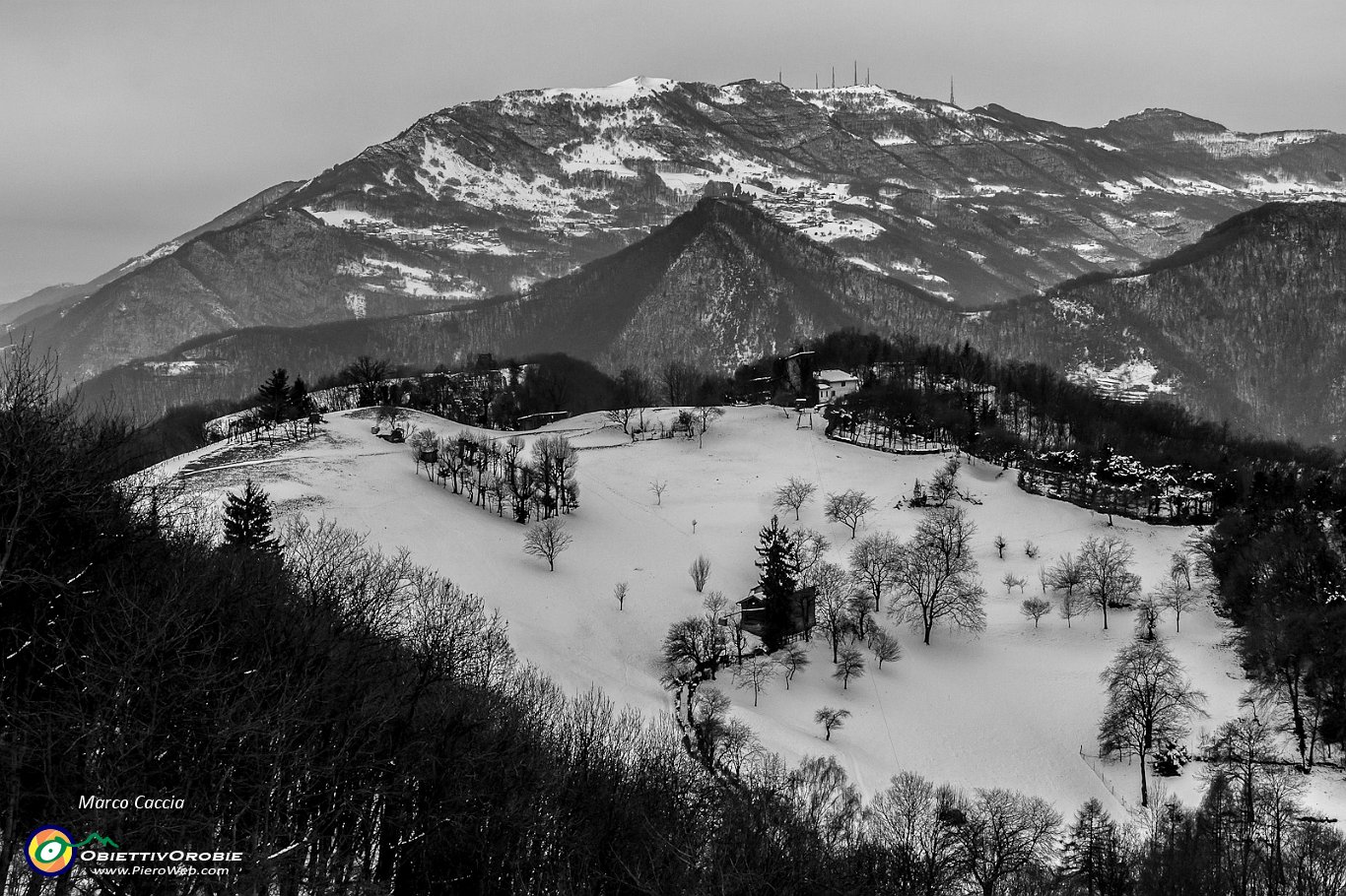 In attesa della neve al Canto Alto-7.JPG